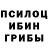 Галлюциногенные грибы прущие грибы miop hip