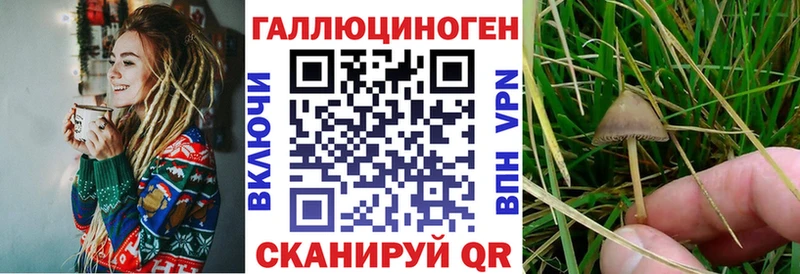 Галлюциногенные грибы мицелий  Воркута 